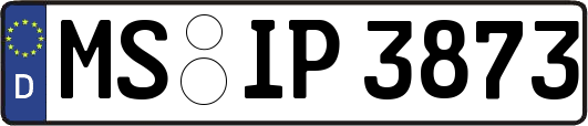 MS-IP3873