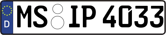 MS-IP4033