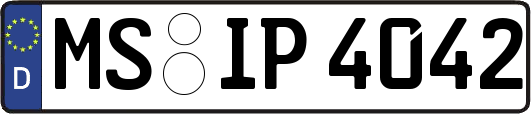 MS-IP4042
