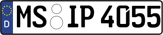 MS-IP4055