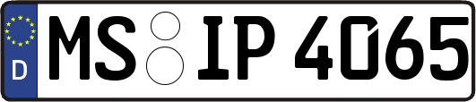 MS-IP4065