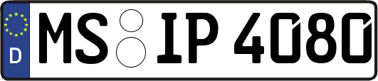 MS-IP4080