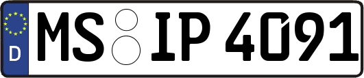 MS-IP4091
