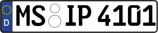 MS-IP4101