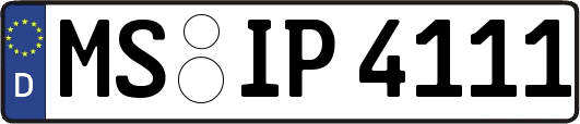 MS-IP4111
