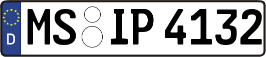 MS-IP4132