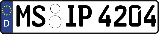 MS-IP4204