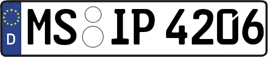 MS-IP4206