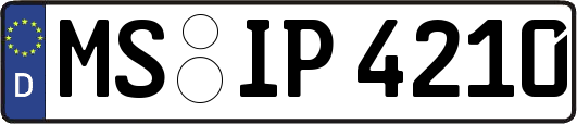 MS-IP4210