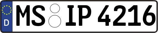 MS-IP4216