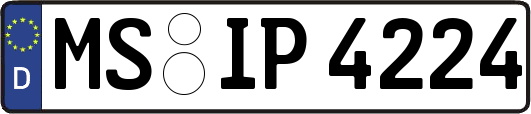 MS-IP4224