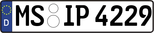 MS-IP4229