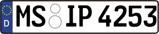 MS-IP4253
