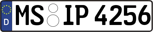 MS-IP4256