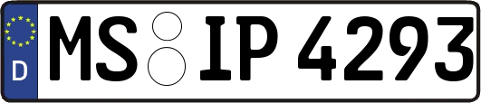 MS-IP4293