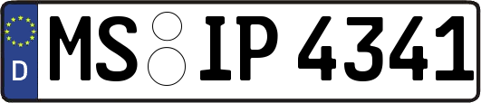 MS-IP4341