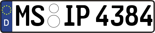 MS-IP4384