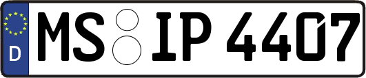 MS-IP4407
