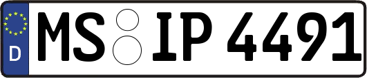 MS-IP4491