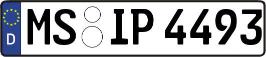 MS-IP4493
