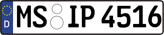 MS-IP4516