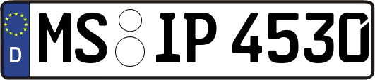 MS-IP4530