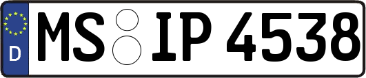 MS-IP4538