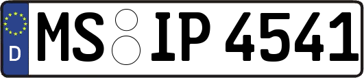 MS-IP4541