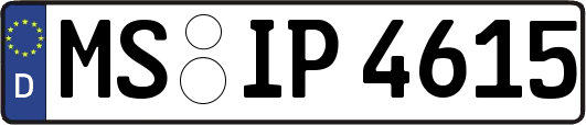 MS-IP4615