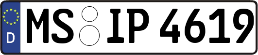 MS-IP4619