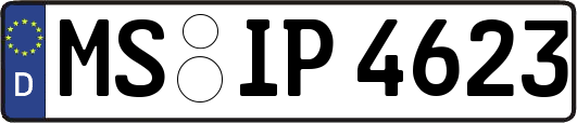 MS-IP4623