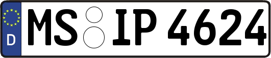 MS-IP4624