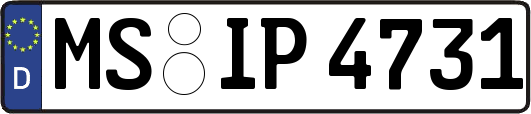 MS-IP4731
