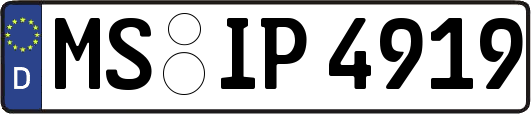 MS-IP4919