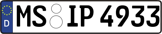 MS-IP4933
