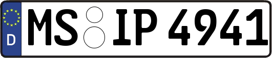 MS-IP4941