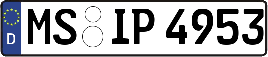 MS-IP4953