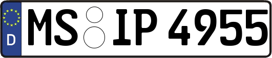MS-IP4955