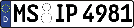MS-IP4981