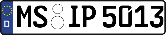 MS-IP5013