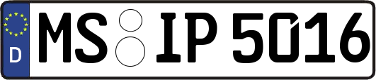 MS-IP5016