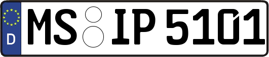 MS-IP5101