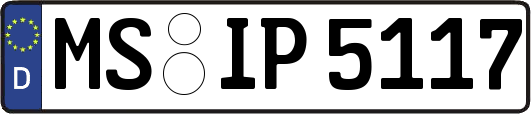 MS-IP5117