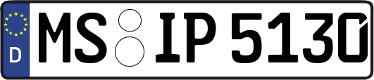 MS-IP5130
