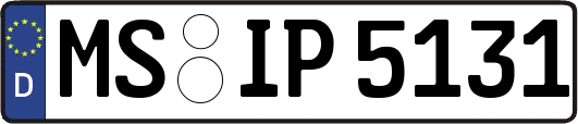 MS-IP5131