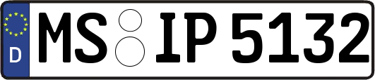 MS-IP5132