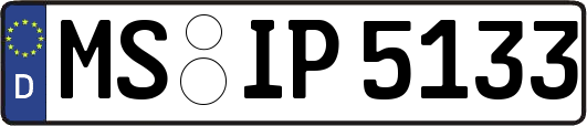 MS-IP5133