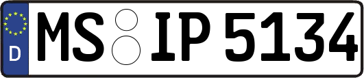 MS-IP5134