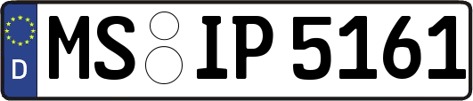 MS-IP5161