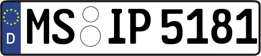 MS-IP5181
